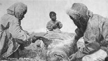 Eskimos skinning a seal, between c1900 and c1930. Creator: Unknown