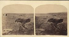 Esquimau, ca. 1859. Creator: Isaac Israel Hayes