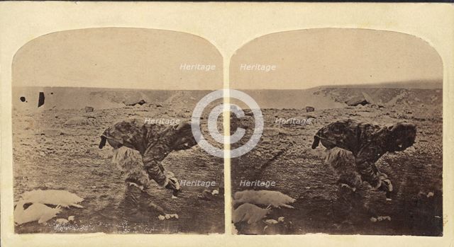 Esquimau, ca. 1859. Creator: Isaac Israel Hayes.