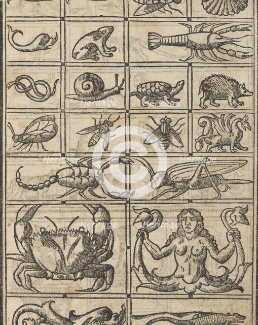 Essempio di recammi, page 11 (recto), 1530. Creator: Giovanni Antonio Tagliente.