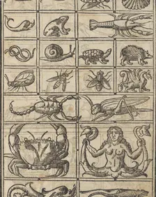 Essempio di recammi, page 11 (recto), 1530. Creator: Giovanni Antonio Tagliente