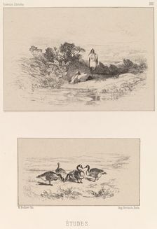 Etudes. Creator: Karl Bodmer