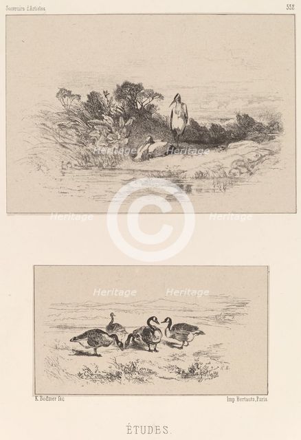 Etudes. Creator: Karl Bodmer.