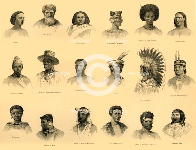 'Ethnology', c1910. Creator: Unknown.
