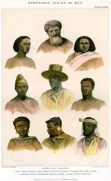 Ethnology, Races of Man 1800-1900.Artist: R Anderson