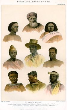 Ethnology, Races of Man 1800-1900.Artist: R Anderson