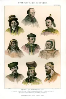 Ethnology, Races of Man 1800-1900.Artist: R Anderson