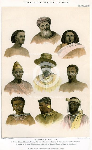 'Ethnology, Races of Man', 1800-1900.Artist: R Anderson