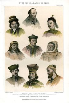 Ethnology, Races of Man 1800-1900.Artist: R Anderson