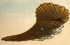 Etrich's Zanonia glider, 1906. (1932). Creator: Unknown