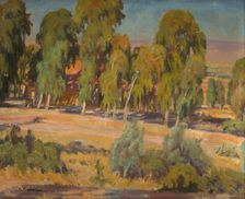Eucalyptus Trees in Upper Galilee, 1926. Creator: Abraham Neuman