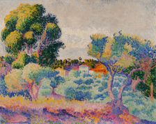 Eucalyptus and olive trees, 1907. Creator: Henri-Edmond Cross