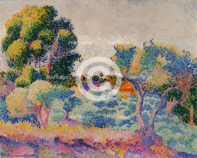 Eucalyptus and olive trees, 1907. Creator: Henri-Edmond Cross.