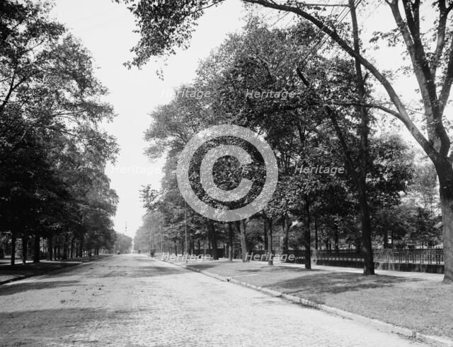 Euclid Avenue, Cleveland, Ohio, c1900. Creator: Unknown.