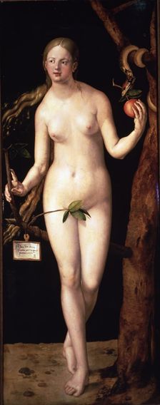 Eva oil by Albrecht Dürer
