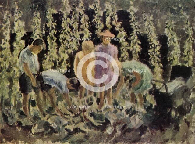 'Evacuees growing cabbages', 1940, (1943). Creator: Leila Faithfull.