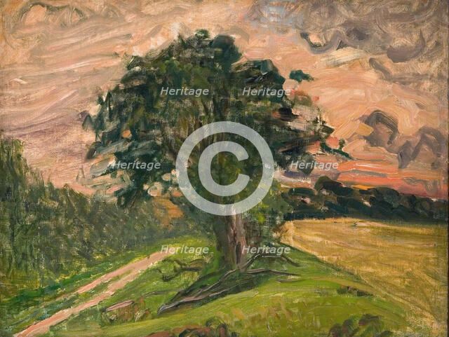 Evening landscape, Tisvilde, 1905. Creator: Albert Gottschalk.