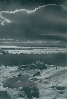Evening Scene in the Pack c1910–1913, (1913). Artist: Herbert Ponting