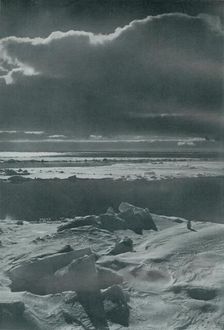 Evening Scene in the Pack c1910–1913, (1913). Artist: Herbert Ponting