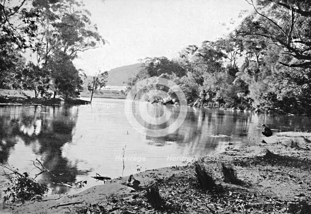 'Evening Shadows, National Park, c1900. Creator: Unknown.