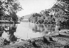 Evening Shadows, National Park, c1900. Creator: Unknown