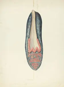 Evening Slipper, 1935/1942. Creator: William Kieckhofel