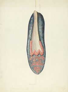 Evening Slipper, 1935/1942. Creator: William Kieckhofel