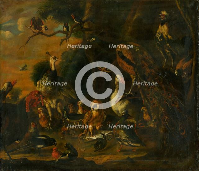 Every bird sings as its beak grows, 1700-1710. Creator: Melchior d'Hondecoeter.