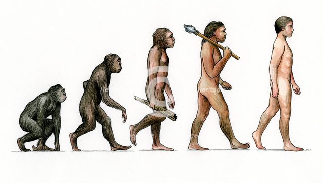 Evolution of ManArtist: Karen Humpage