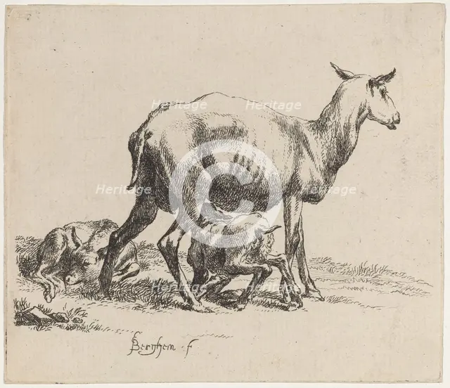 Ewe Nursing Her Lamb. Creator: Nicolaes Berchem.
