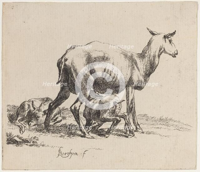 Ewe Nursing Her Lamb. Creator: Nicolaes Berchem.
