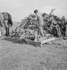 Ex-mill worker clears eight-acre field after bulldozer..., Boundary County, Idaho, 1939. Creator: Dorothea Lange