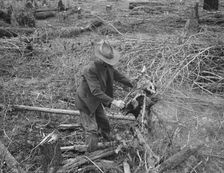 Ex-Nebraska farmer and the piece of land which he hopes..., Bonner County, Idaho, 1939. Creator: Dorothea Lange