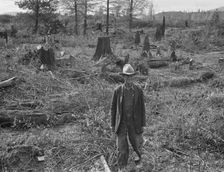 Ex-Nebraska farmer and the piece of land which he hopes..., Bonner County, Idaho, 1939. Creator: Dorothea Lange