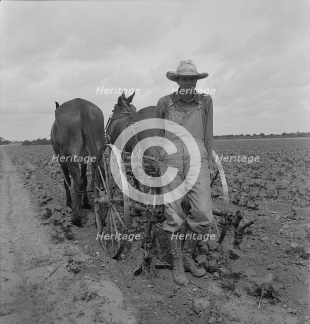 Ex-tenant farmer, now a day laborer on large cotton farm near Corsicana, Texas, 1937. Creator: Dorothea Lange.