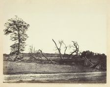 Extreme Line of Confederate Works, Cold Harbor, Virginia, April 1865. Creator: John Reekie