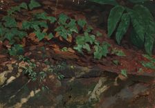 Exercise, leaves, 1835-1853. Creator: Nils Jakob Blommer