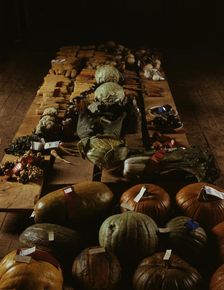 Exhibit of crops and vegetables at the Pie Town, New Mexico Fair, 1940. Creator: Russell Lee