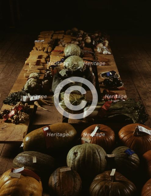 Exhibit of crops and vegetables at the Pie Town, New Mexico Fair, 1940. Creator: Russell Lee.