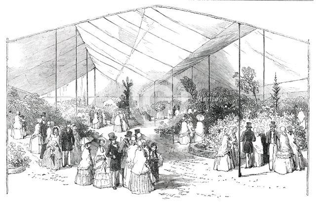Exhibition of American Plants at the Royal Botanical Society's Gardens, Regent's-Park, 1850. Creator: Unknown.