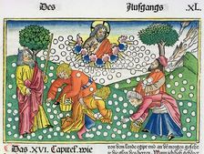 Exodus 16:13-22: God provides quail and Manna to the Israelites