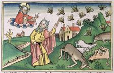 Exodus 8:20-32: Moses and the swarm of flies, one of the Seven Plagues of Egypt