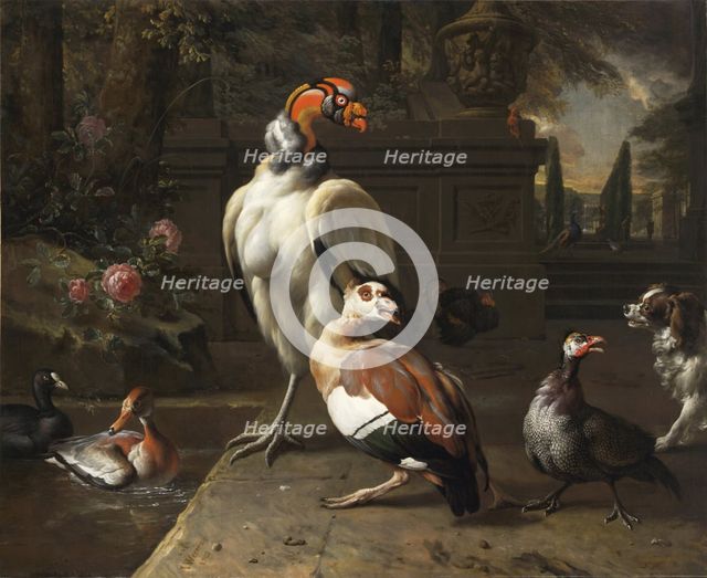 Exotic Birds in a Park, 1702. Creator: Weenix, Jan, the Younger (1642-1719).