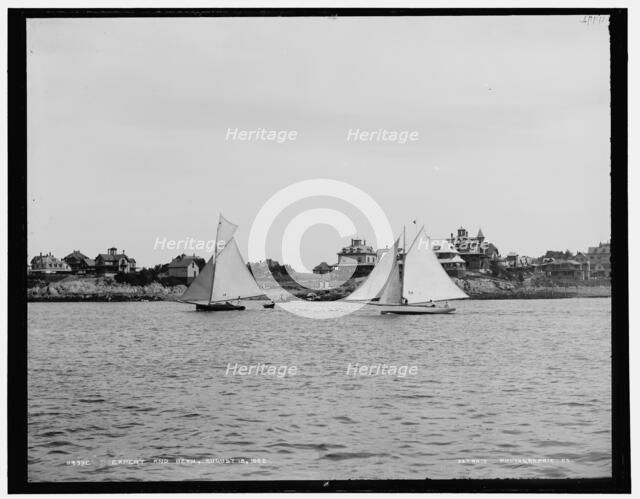 Expert and Beth, 1888 Aug 18. Creator: Unknown.