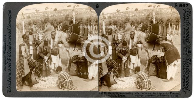 Experts purchasing silk cocoons, for export to France, Antioch, Syria, 1900s.Artist: Underwood & Underwood