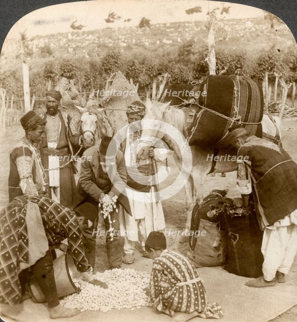 Experts purchasing silk cocoons, for export to France, Antioch, Syria, 1900s.Artist: Underwood & Underwood