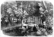 Experimenting ponds at the Huningue Fish Nurseries, France, 1864. Creator: Mason Jackson