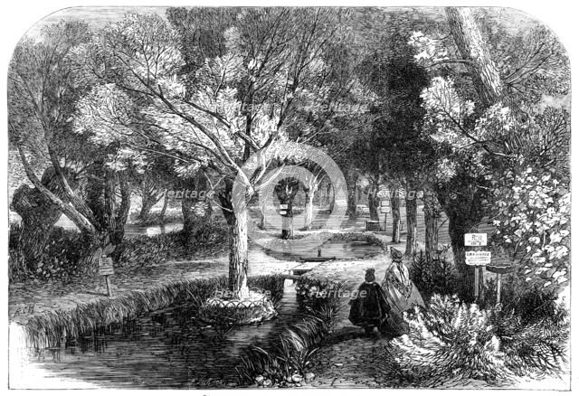 Experimenting ponds at the Huningue Fish Nurseries, France, 1864. Creator: Mason Jackson.