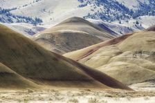 Exposing History. Creator: Joshua Johnston