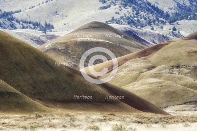 Exposing History. Creator: Joshua Johnston.